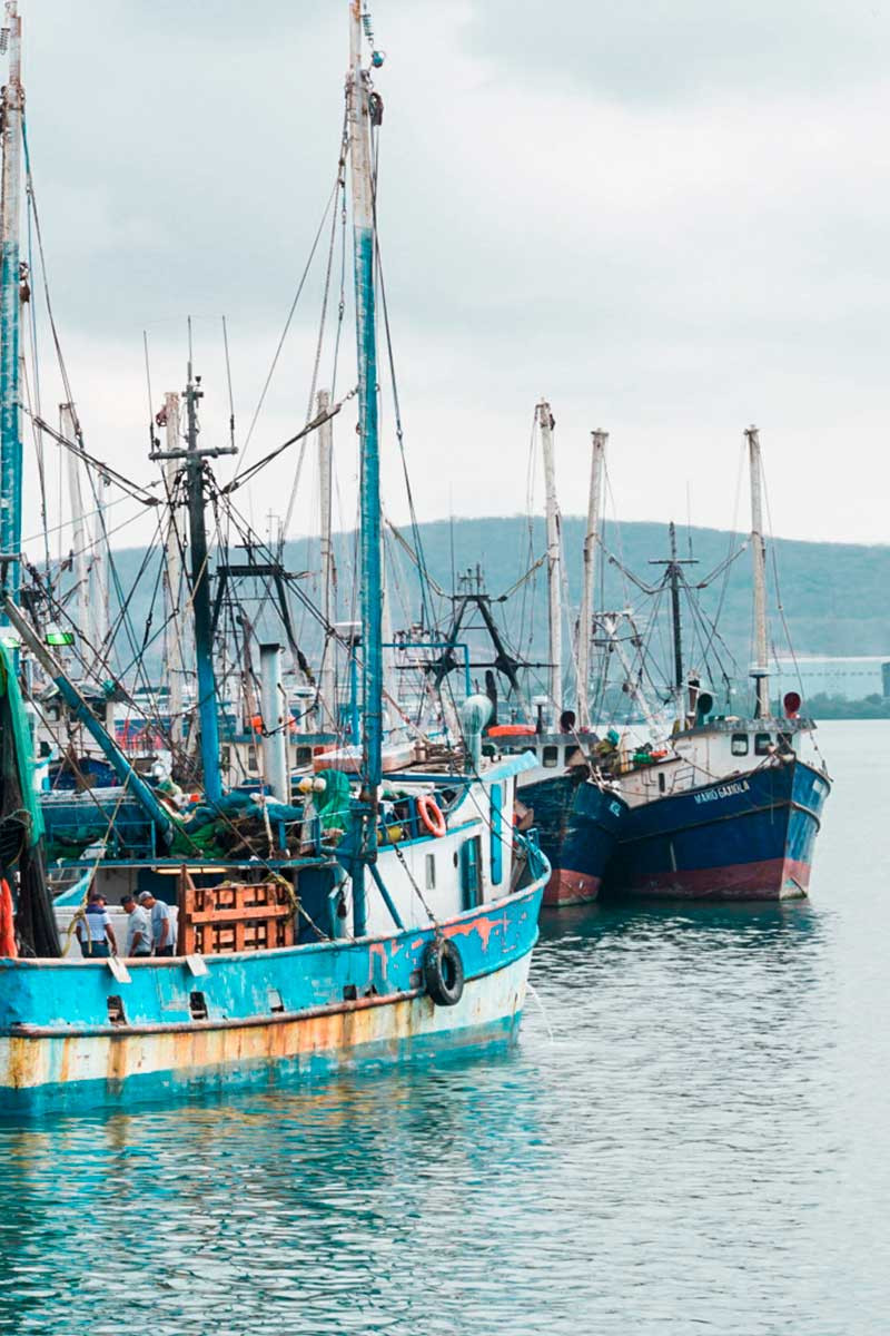 avios para la pesca